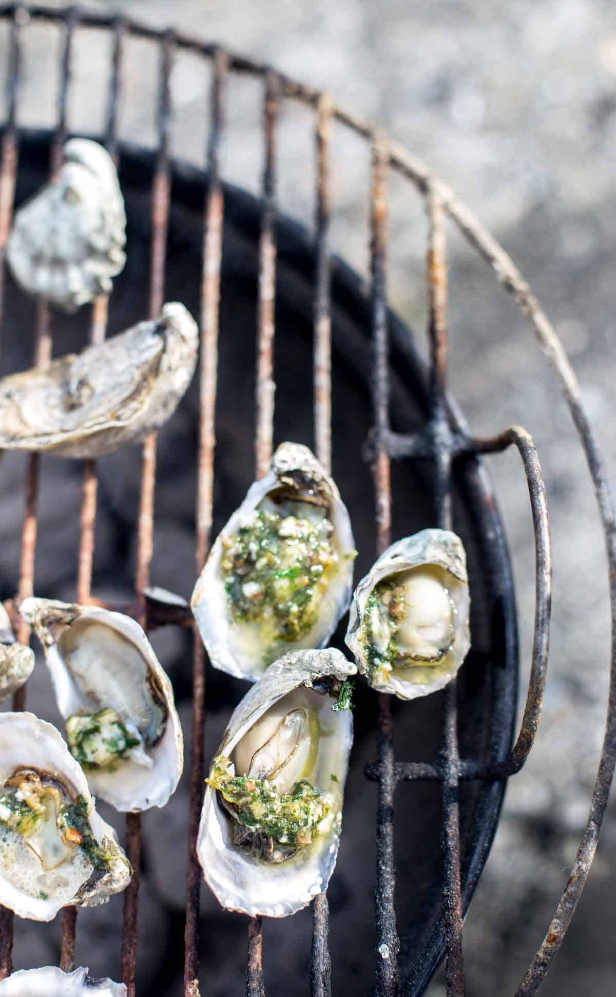 Grilled oysters on the half shell